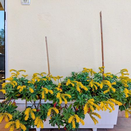 Celestial Garden-Thessaloniki'S Modern, Eclectic Penthouse With An Amazing View And Veranda Екстериор снимка
